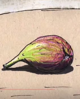Fig