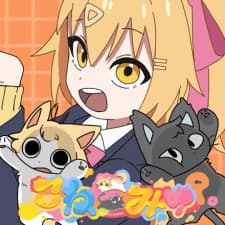 Кошачье общение