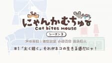 Nyankamuchu Season 3