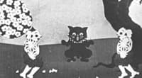 Чёрный кот